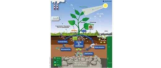 Rock-Eval® : au service de l’étude des sols pour l’enjeu climatique