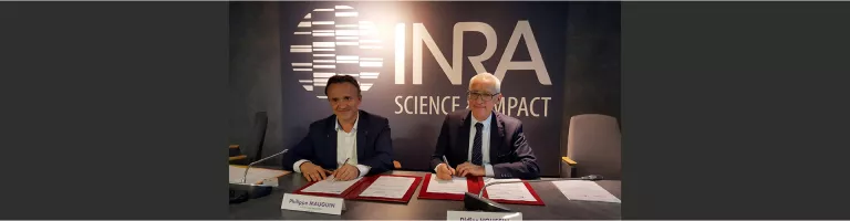 Bioéconomie, biotechnologies, sols : trois priorités au cœur de la collaboration entre l’Inra et IFPEN