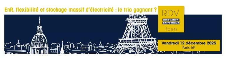 Stockage massif d'électricité - La synthèse des RDV 