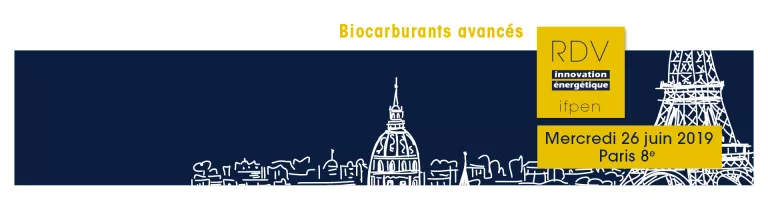 "Biocarburants avancés : quel avenir dans les transports ?" -  La synthèse