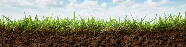 Des déchets qui ont de l’avenir : IFPEN présente ses innovations au Salon de l’Agriculture