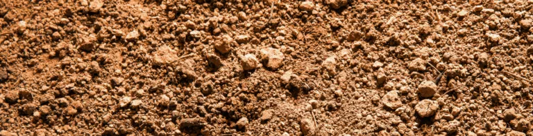 Carbone des sols : Valorhiz, IFPEN et CCARBON renforcent la coopération franco-brésilienne au service de la résilience des écosystèmes