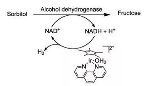 La catalyse hybride peut s’alimenter en biosourcé 