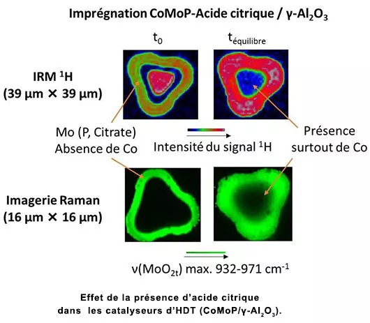 Imageries RMN et Raman : l’imprégnation des catalyseurs comme si vous y étiez