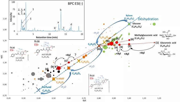 Multiplier les dimensions analytiques pour identifier les molécules biosourcées