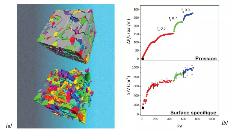 Étude in situ de la structure fine d’une mousse en écoulement dans un milieu poreux réel