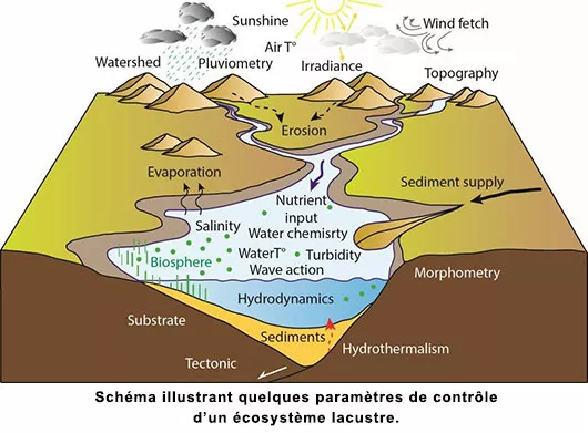 Les séries sédimentaires lacustres : une archive des changements environnementaux passés pour mieux comprendre le présent