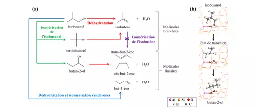 SC2 - Quantum calculation reveals key mechanisms for bio-based chemistry