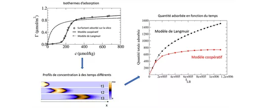 SC3 - Simulation of the adsorption/transport combination via a generalized lattice-boltzmann approach