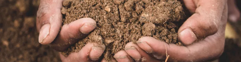 IFP Energies nouvelles and Valorhiz are teaming up to study the potential of using soils with low carbon content as carbon sinks