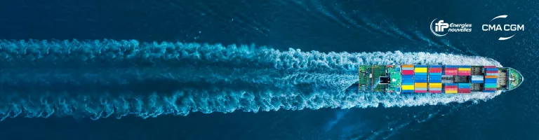 Evaluation of alternative marine fuels for the decarbonization of maritime transport