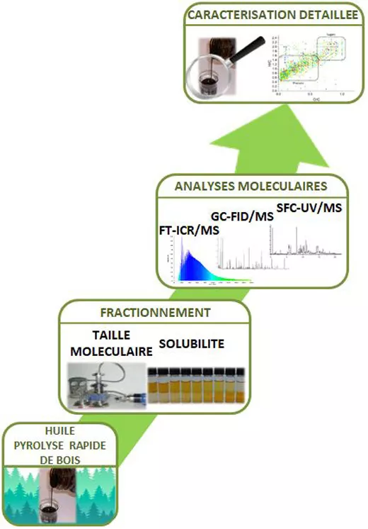 Descripteurs de matrices oxygénées pour la transformation de biomasses lignocellulosiques (HDR 2017)