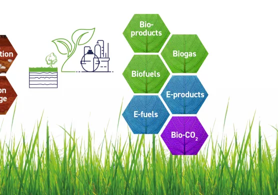 Valorisation de la biomasse : IFPEN au rendez-vous des plus grands spécialistes à l’EUBCE