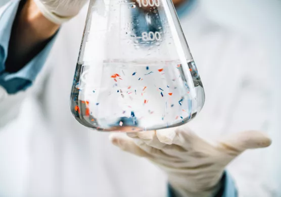 Un indice multivarié pour estimer l’âge de vieillissement des plastiques dans les océans