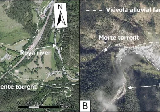 L'impact hydrosédimentaire et géomorphologique de la tempête Alex sur le bassin versant de la Roya (Alpes-Maritimes)