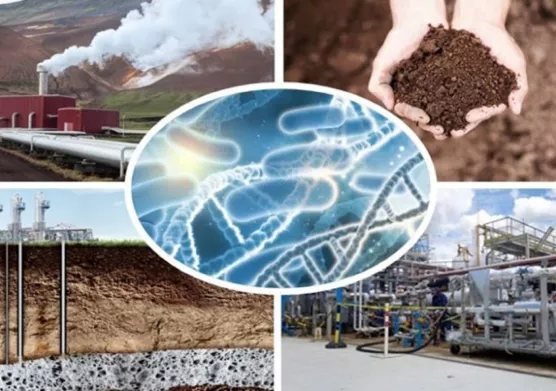 Mieux comprendre la réactivité biogéochimique du sous-sol