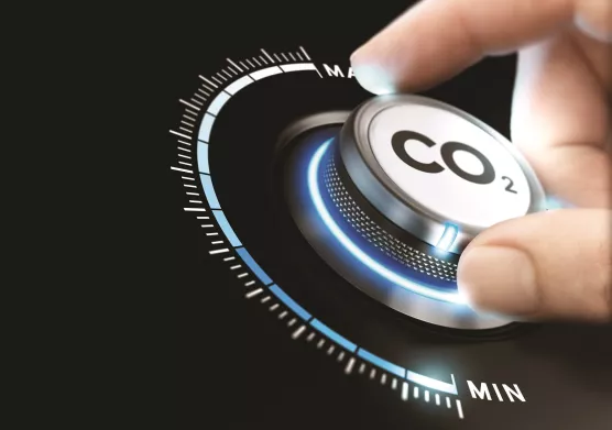 Stratégies d'élimination du dioxyde de carbone : une approche diversifiée et propre à chaque région