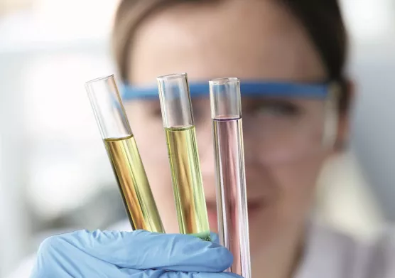 Des réacteurs sur-mesure pour la catalyse hybride biosourcée