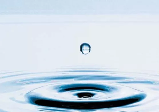 IFPEN et MAANEO :  Première unité PHOS-4®, une innovation pour le traitement du phosphore dans les eaux