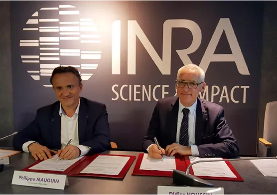 Bioéconomie, biotechnologies, sols : trois priorités au cœur de la collaboration entre l’Inra et IFPEN