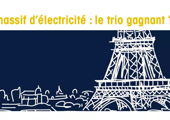 Stockage massif d'électricité - La synthèse des RDV 