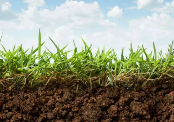 Des déchets qui ont de l’avenir : IFPEN présente ses innovations au Salon de l’Agriculture