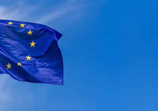 R&I automobile : IFPEN rejoint un groupe d’experts européen