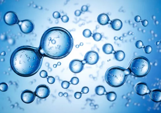 Hydrogène naturel : IFPEN et Vinci Technologies lancent un consortium