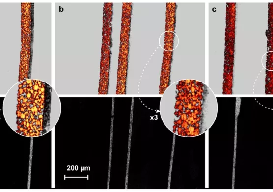 Visualisation du lithium dans les électrodes des batteries pour comprendre les mécanismes de leur vieillissement