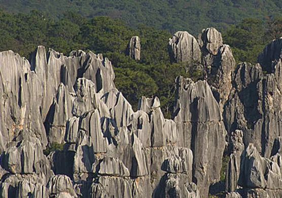 Projet de recherche KARST : IFPEN lauréat d'une bourse ERC Synergy Grant