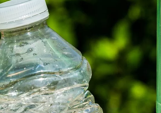Production de bioparaxylène : vers des bouteilles 100 % biosourcées