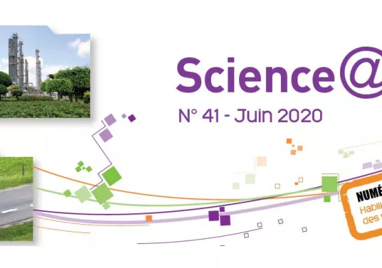 Hydrolyse de la biomasse lignocellulosique : étude des interactions enzyme-substrat (HDR 2015)