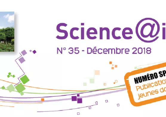 Numéro 35 de Science@ifpen - Publications de jeunes docteurs