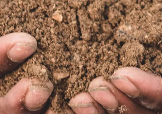 IFP Energies nouvelles and Valorhiz are teaming up to study the potential of using soils with low carbon content as carbon sinks
