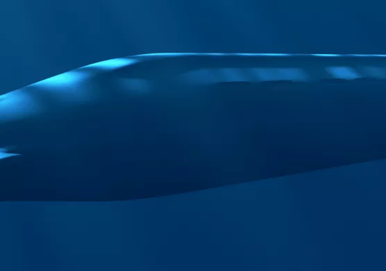 Production d’hydrogène embarqué dans des sous-marins