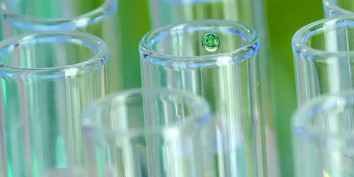 Chimie biosourcée : Nos solutions