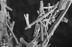 Image de microscopie électronique montrant des cristaux en forme de bâtonnets, échelle de 2 micromètres